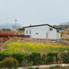 Tình yêu cổ tích của người chồng Hàn Quốc chăm vợ bị liệt 30 năm trong ngôi nhà vườn bình yên