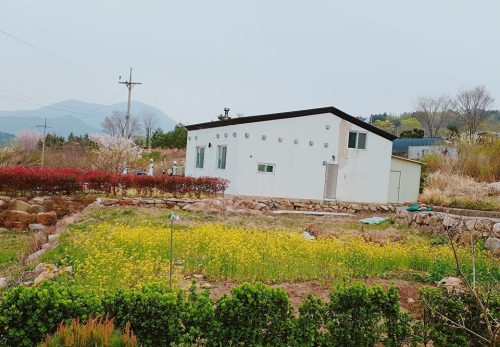 Tình yêu cổ tích của người chồng Hàn Quốc chăm vợ bị liệt 30 năm trong ngôi nhà vườn bình yên